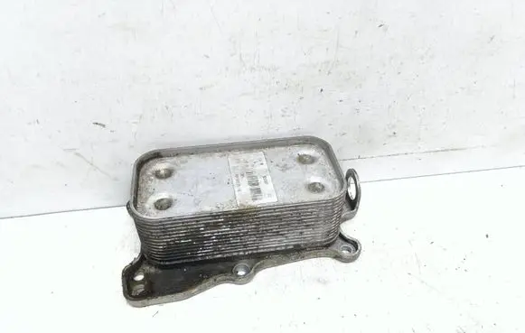 Mercedes-Benz S W221 Engine oil radiator 5989070191