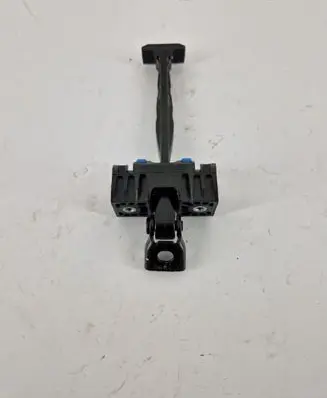 Volkswagen Tiguan Allspace Rear door check strap stopper 