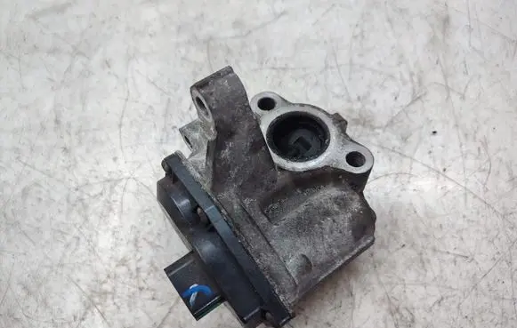 Nissan Qashqai+2 EGR valve 8201068965