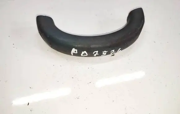 Renault Scenic I Front interior roof grab handle