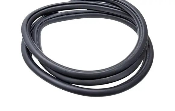 Toyota RAV 4 (XA50) Rear door rubber seal (on body) 6233142100