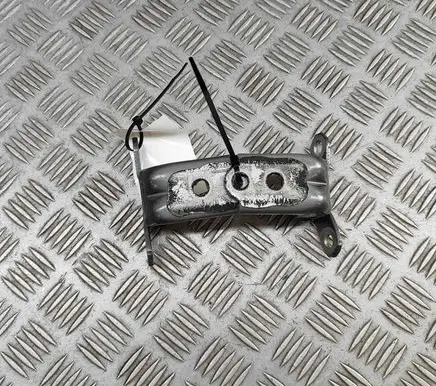 Nissan Qashqai J12 Front door hinges set 804206UA1A 804216UA1A