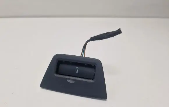 Audi Q7 4L Fuel tank opening switch 4L2959833