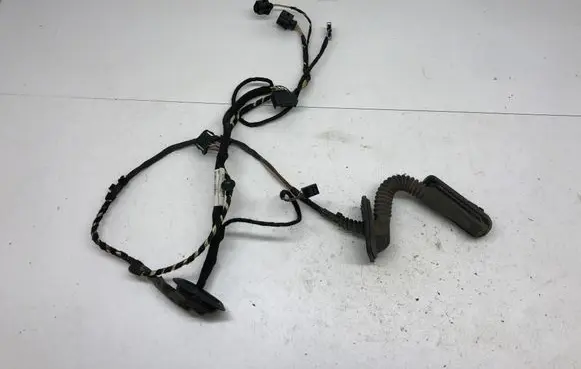 Volkswagen PASSAT CC Rear door wiring loom 3C8971693CH