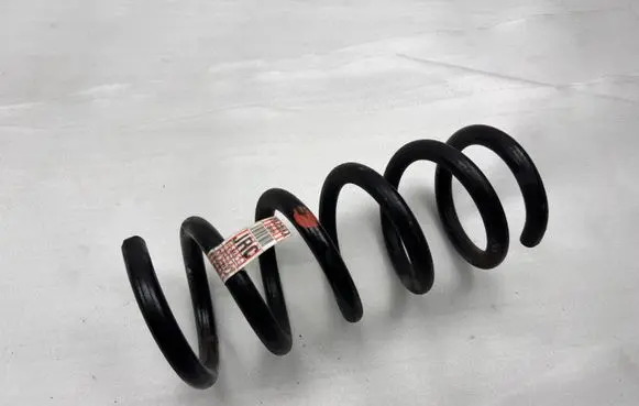 Ford Mustang VI Rear coil spring JR3C5560CA