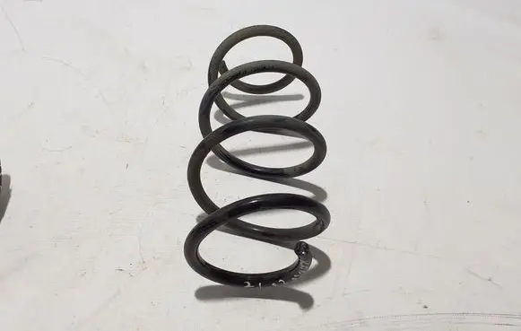 Renault Kangoo III Front coil spring 540105466R