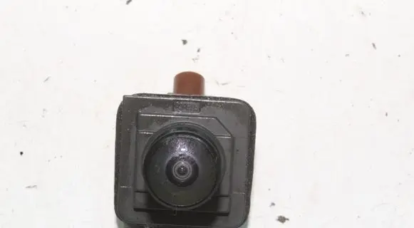 Ford Mustang Mach-E Reversing camera LJ8T19G490BB