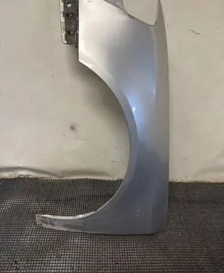 Volkswagen PASSAT B6 Fender LA7W