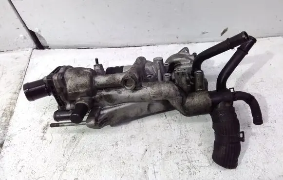 Thermostat/thermostat housing