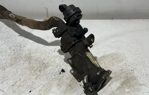 Renault Trafic II (X83) EGR valve cooler 8200611709