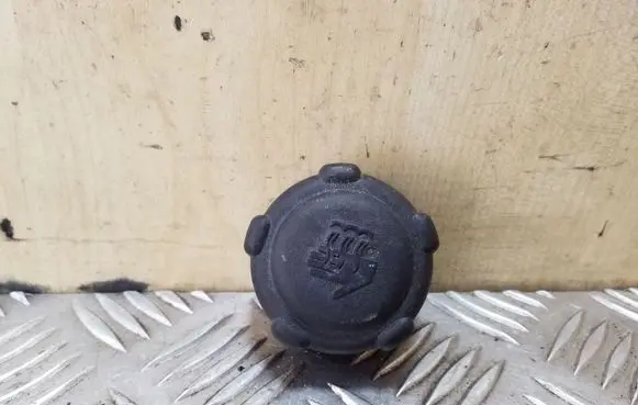 Renault Scenic II - Grand scenic II Coolant expansion tank/reservoir cap 