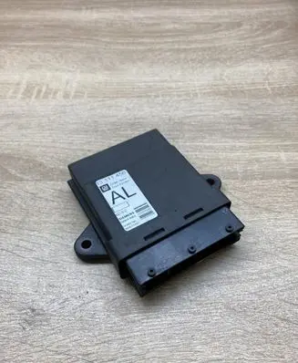 Opel Vectra C Door control unit/module 13111456
