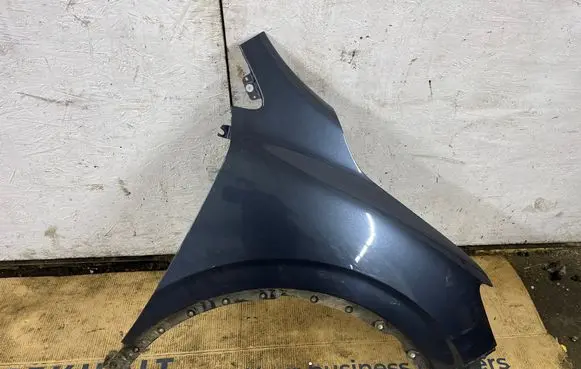 Renault Kadjar Fender 
