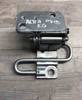 Rear door lower hinge