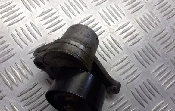 Renault Laguna III Alternator belt tensioner pulley T38311