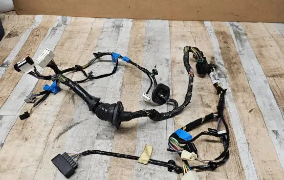 Front door wiring loom
