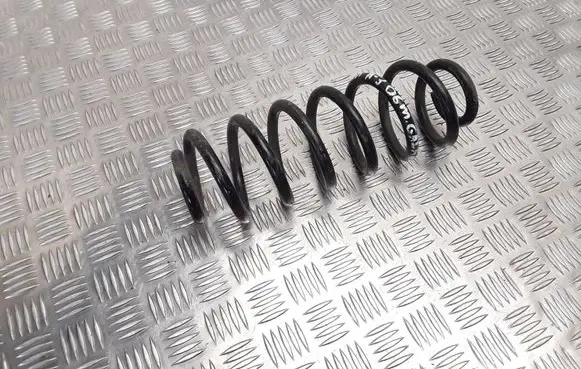Audi A3 S3 8P Rear coil spring