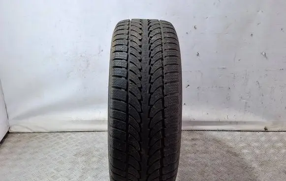 Mitsubishi Pajero R17 winter tire MINERVA ECOWINTERSUV 26565R17