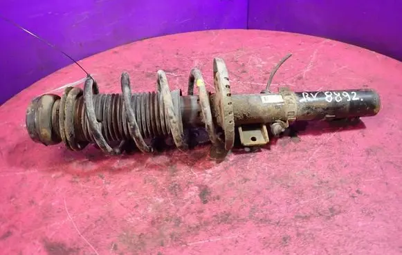 Skoda Roomster (5J) Front shock absorber with coil spring 6Q0413031BJ