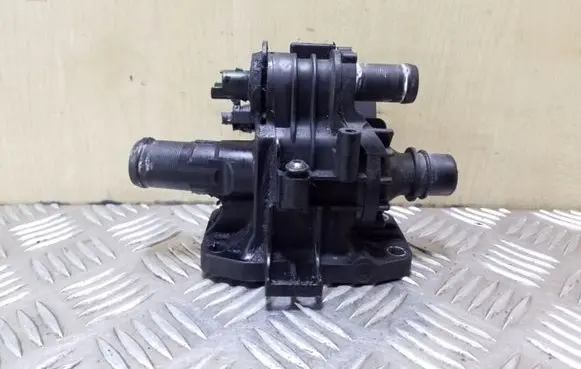 Thermostat/thermostat housing