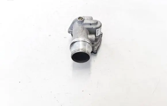 Renault Megane III Throttle valve