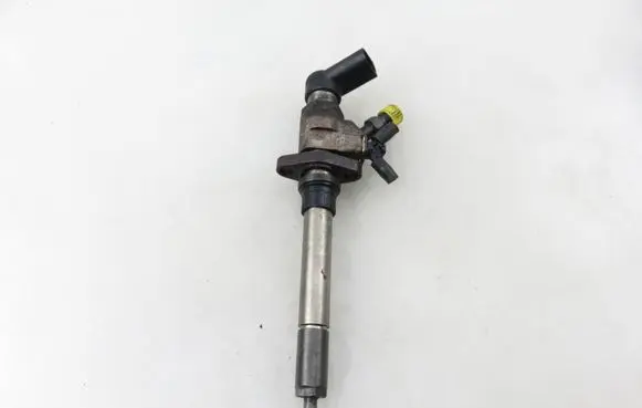 Citroen C5 Fuel injector 9658194180