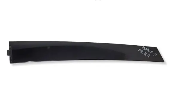 BMW X6 E71 Front door glass trim molding 