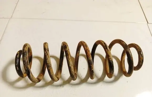 Volkswagen PASSAT B6 Rear coil spring 