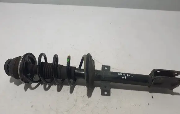 Renault Arkana Rear shock absorber/damper 562107325R