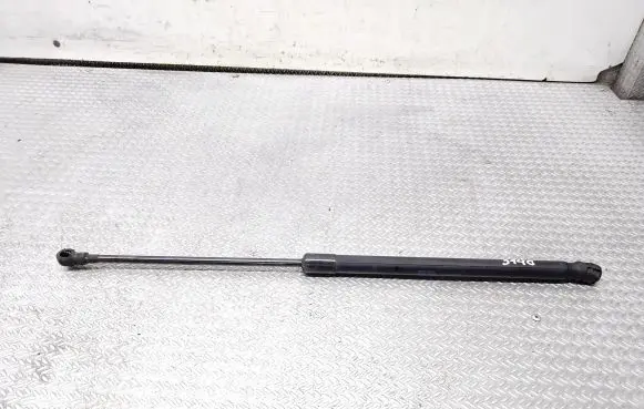 Tailgate/trunk strut/damper
