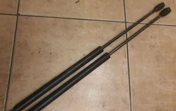 Tailgate/trunk strut/damper