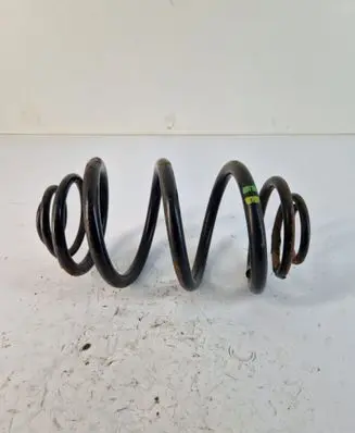 Rear coil spring