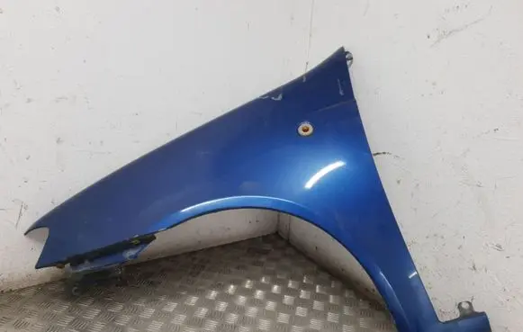 Fiat Punto (188) Fender