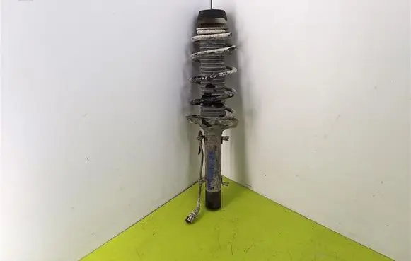 Front shock absorber with coil spring