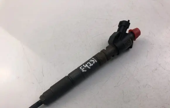 Volvo V70 Fuel injector 31303238