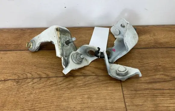 Ford Edge II Rear door hinge set ZAWPTEDGE