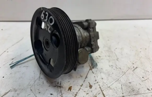 Suzuki Grand Vitara II Power steering pump 6707101