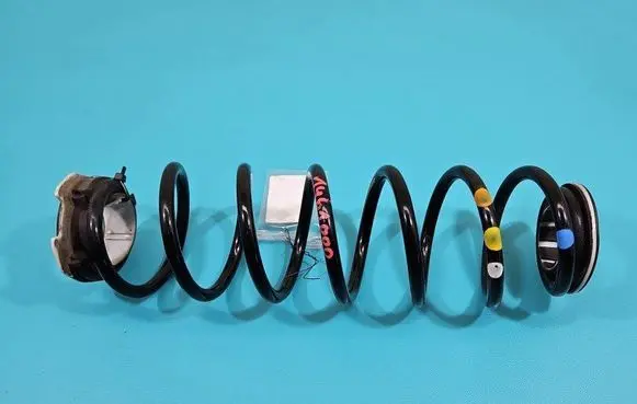 Rear coil spring