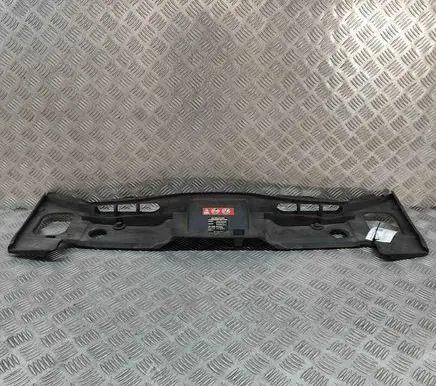 Mercedes-Benz CLS C218 X218 Radiator trim A2185000655