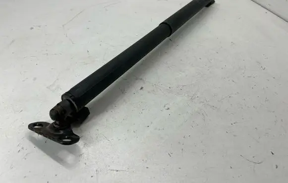 Ford Edge II Tailgate/trunk strut/damper FT4BR402A74AA 413244S990N