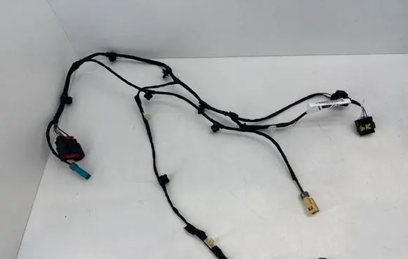 Fisker Ocean Rear door wiring loom FM2980610442C