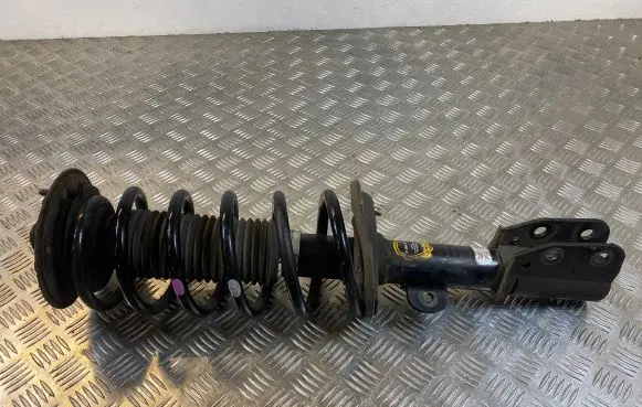 Opel Antara Front shock absorber with coil spring