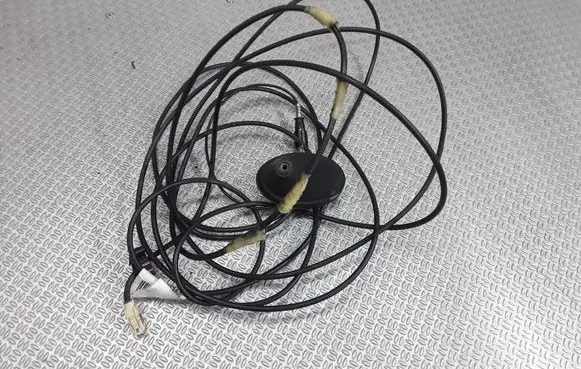 Peugeot 307 Radio antenna 