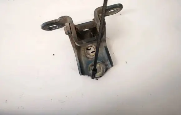 Renault Megane II Rear door lower hinge