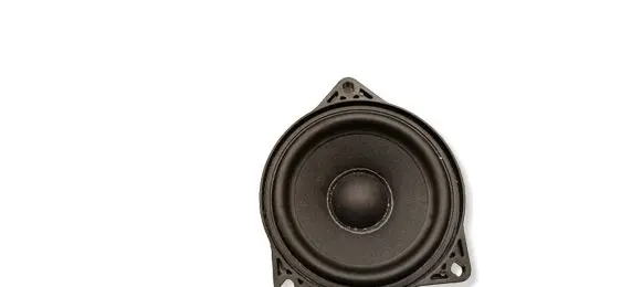 Tesla Model 3 Highland Panel speaker 107974200C