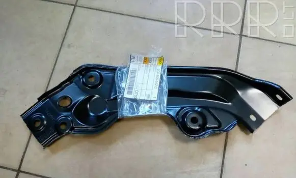 Engine bonnet/hood lock trim molding