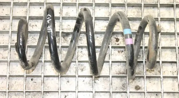 Nissan Qashqai Rear coil spring