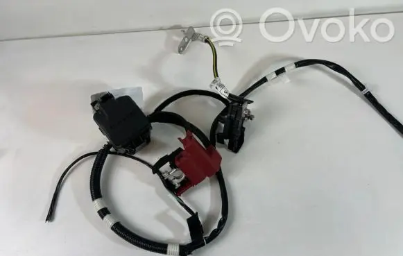 Toyota C-HR I Positive wiring loom 82284F4020 288500Y020