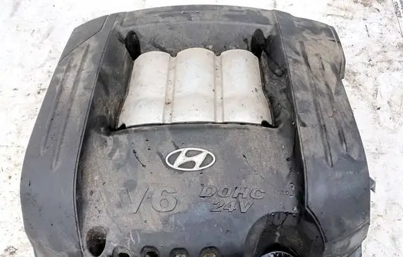 Hyundai Santa Fe Engine cover (trim) 2924037300 2924037310