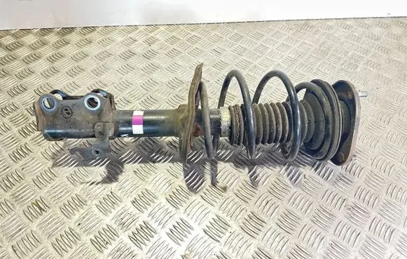 Front shock absorber with coil spring
